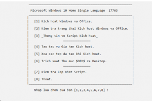 Activation Script – Active Win 10/11 Digital License và Office